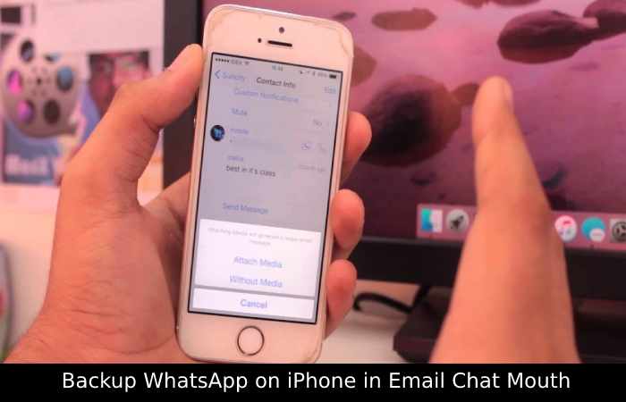 How to Backup WhatsApp after iPhone Without iCloud (2)