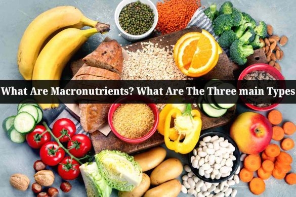 What Are Macronutrients? What Are The Three main Types